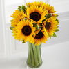Deluxe-10 Sunflowers with Vase
