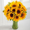 Ultra Premium-15 Sunflowers with Vase