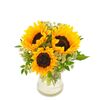As Shown- 3 Sunflowers with Vase
