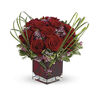 Premium-10 Stems Rose