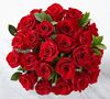 Premium-24 Roses-40CM