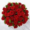 Premium-36 Roses-40CM