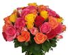 Premium-36 Mix Color Roses Bouquet-3 Dozen