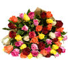 Ultra Premium-48 Mix Color Roses Bouquet-4 Dozen