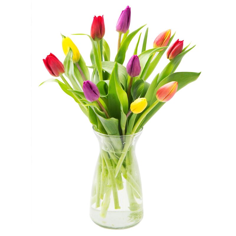 Tulips In A Vase | a14254